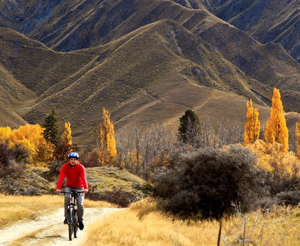 Arrowtown Bike Hire-箭镇必去景点