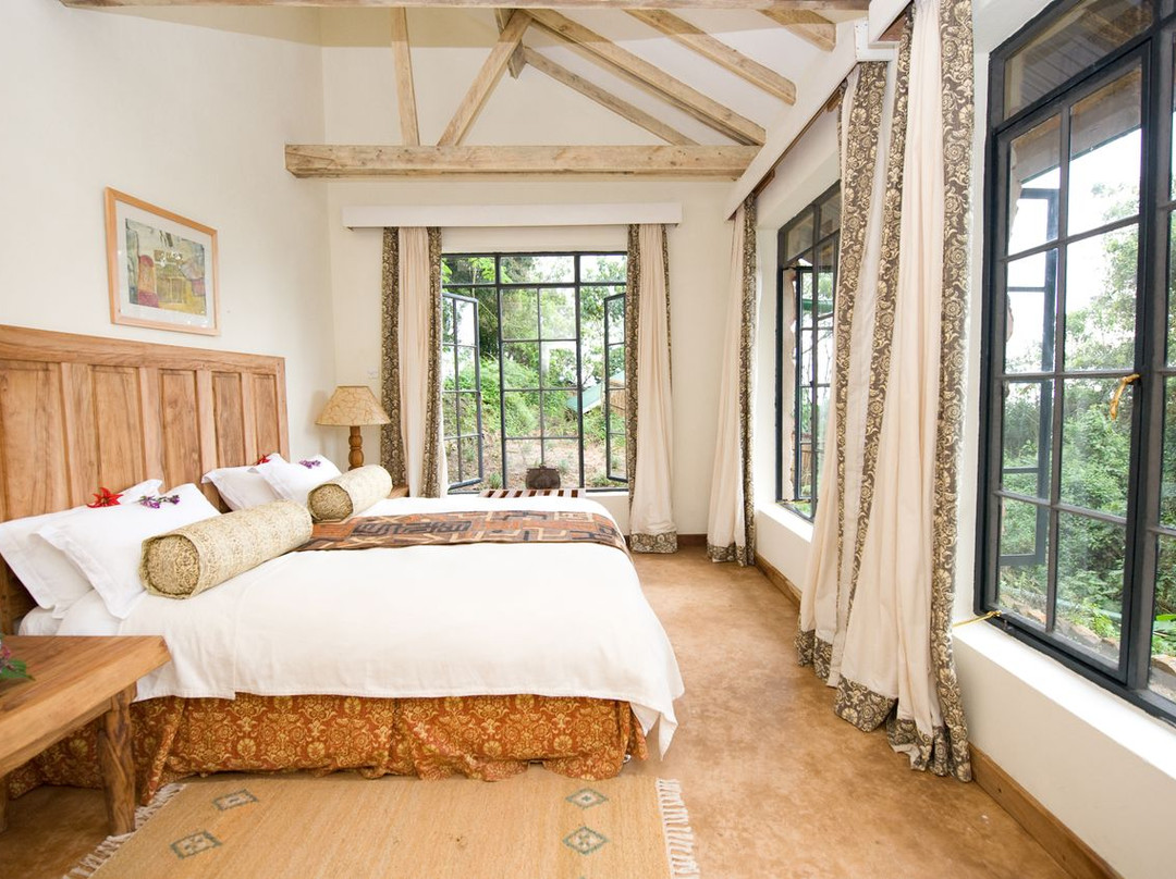 Clouds Mountain Gorilla Lodge