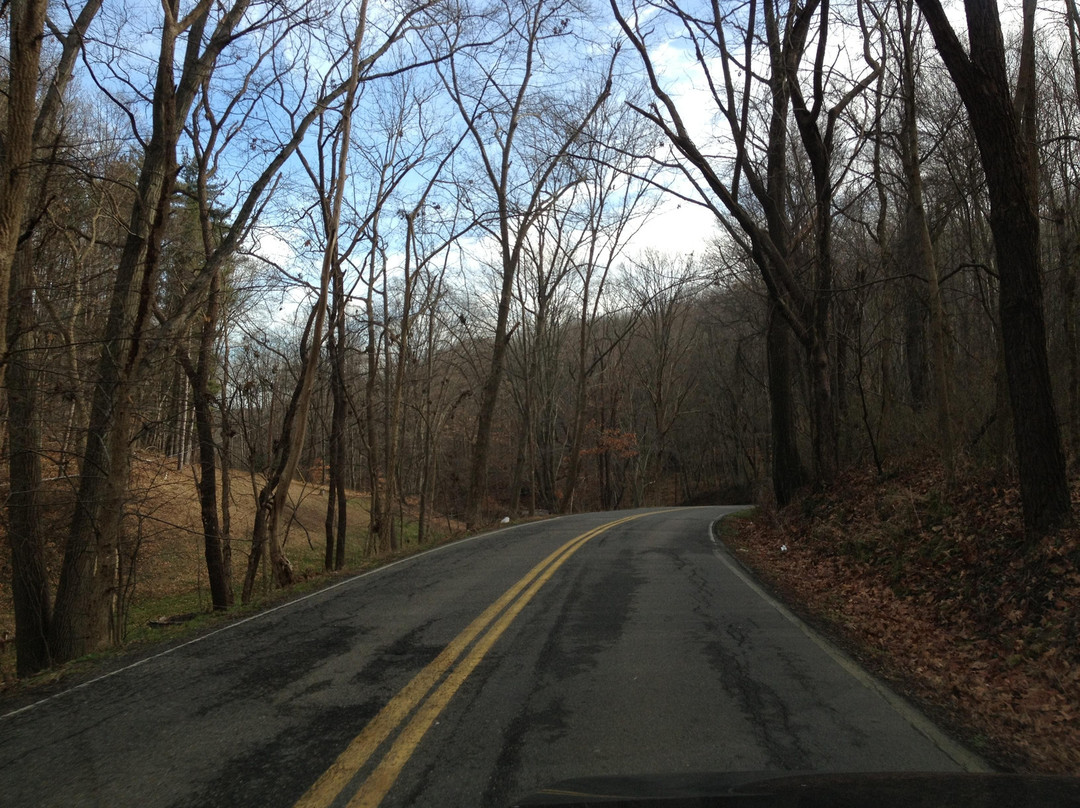Hillview Acres Campground