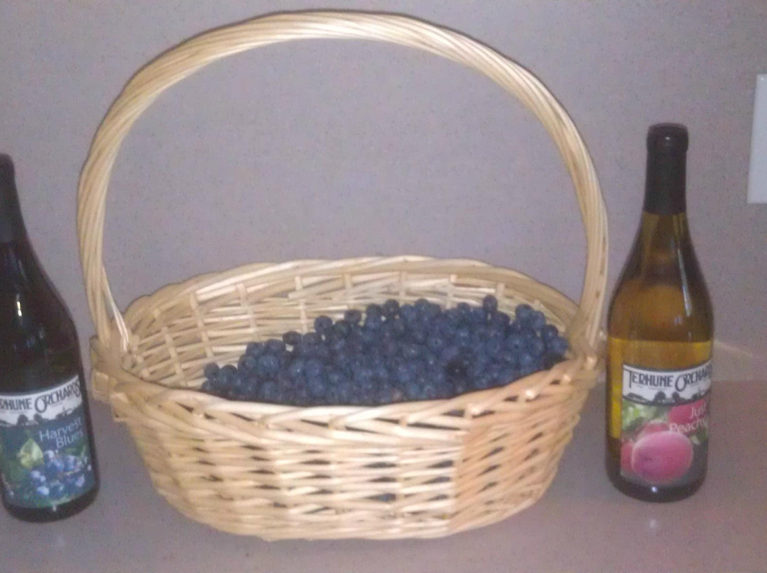 Terhune Orchards & Winery-Lawrence Township必去景点