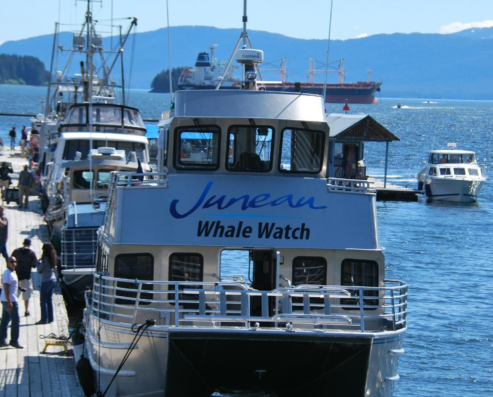 Juneau Tours & Whale Watch-朱诺必去景点