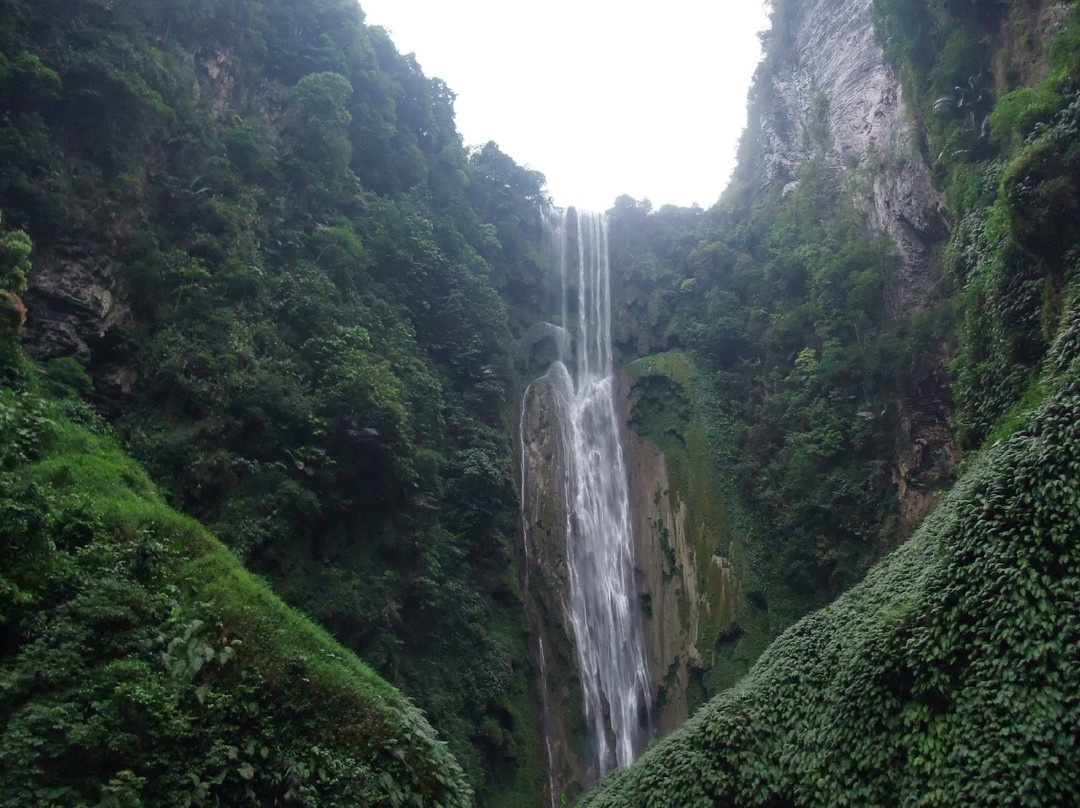 通灵大峡谷景点图片