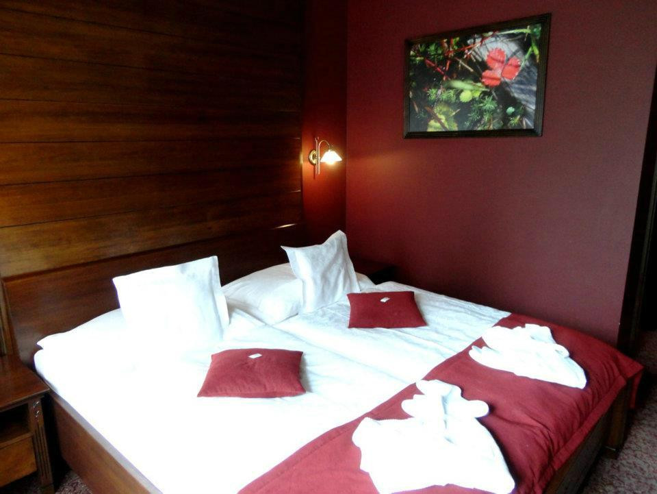 Strbske Pleso酒店住宿-Wellness Hotel Borovica