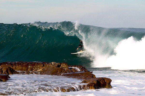 Manly Surf Guide景点图片