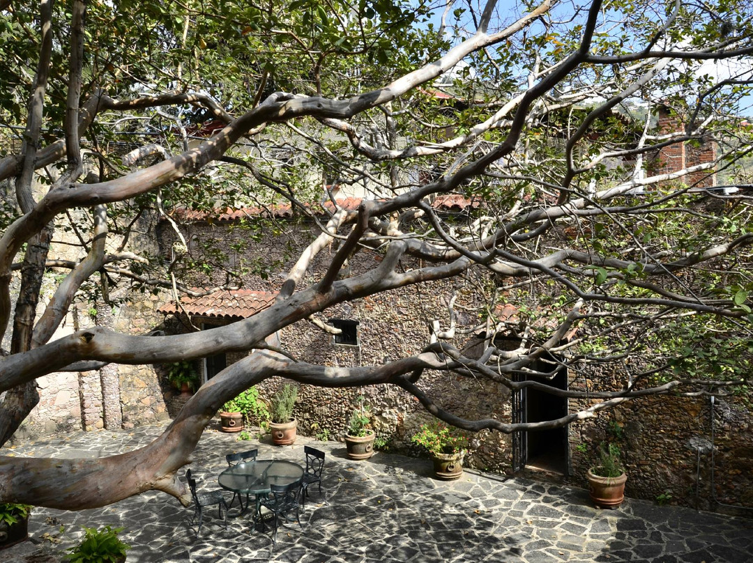 Ex Hacienda de El Chorrillo景点图片