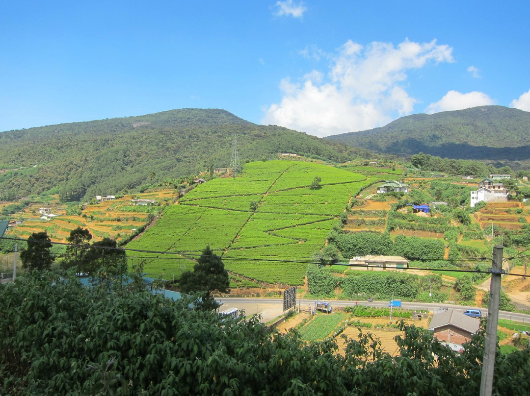 Toppass旅游攻略图片