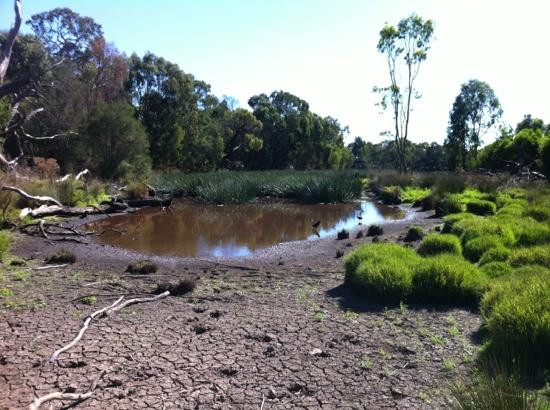 Traralgon Railway Reservoir Conservation Reserve-特拉拉尔根必去景点
