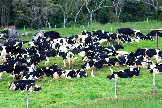 牛场-昆达山必去景点