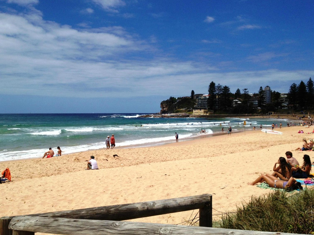 Manly Surf Guide景点图片