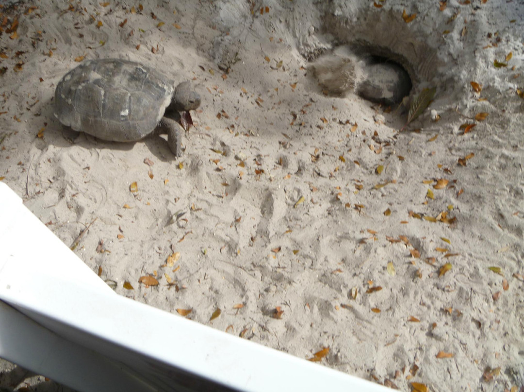 Rookery Bay National Estuarine Research Reserve-那不勒斯必去景点