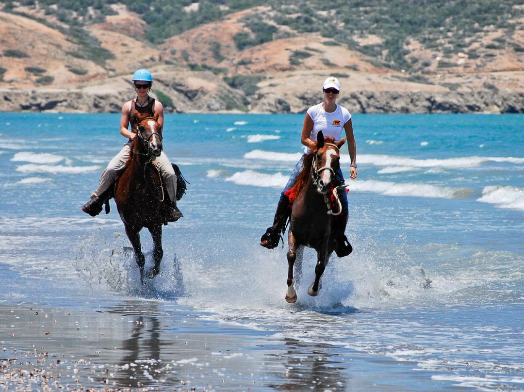 Hacienda Macanao-波拉马尔必去景点