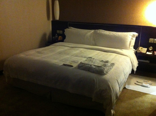 国信紫金山大酒店主图