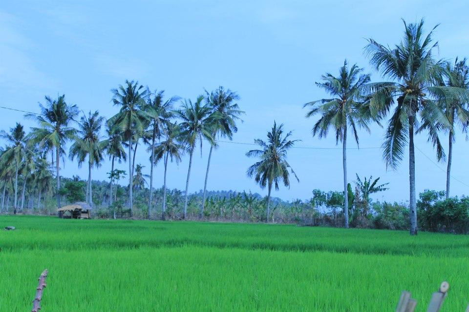 Sawarna Beach-Sawarna必去景点