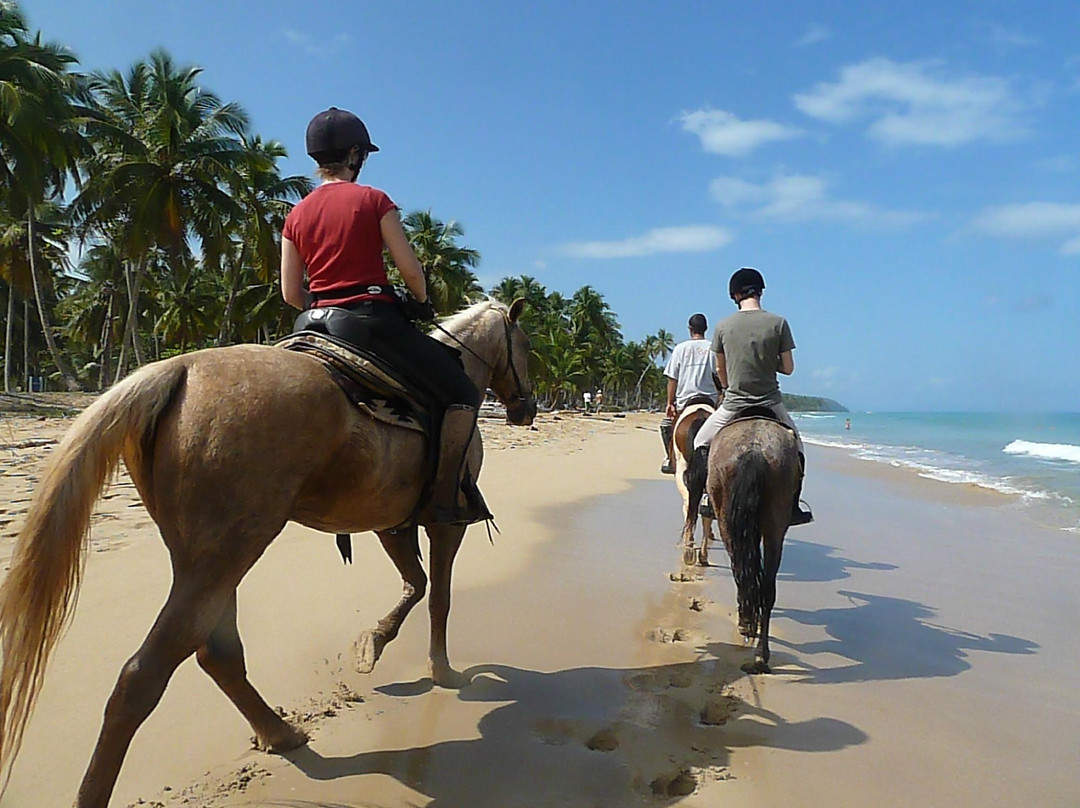 Epona Ranch-拉斯特拉纳斯必去景点