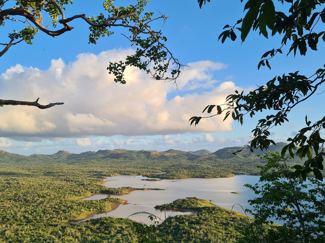 HopiBonaire-Bonaire必去景点