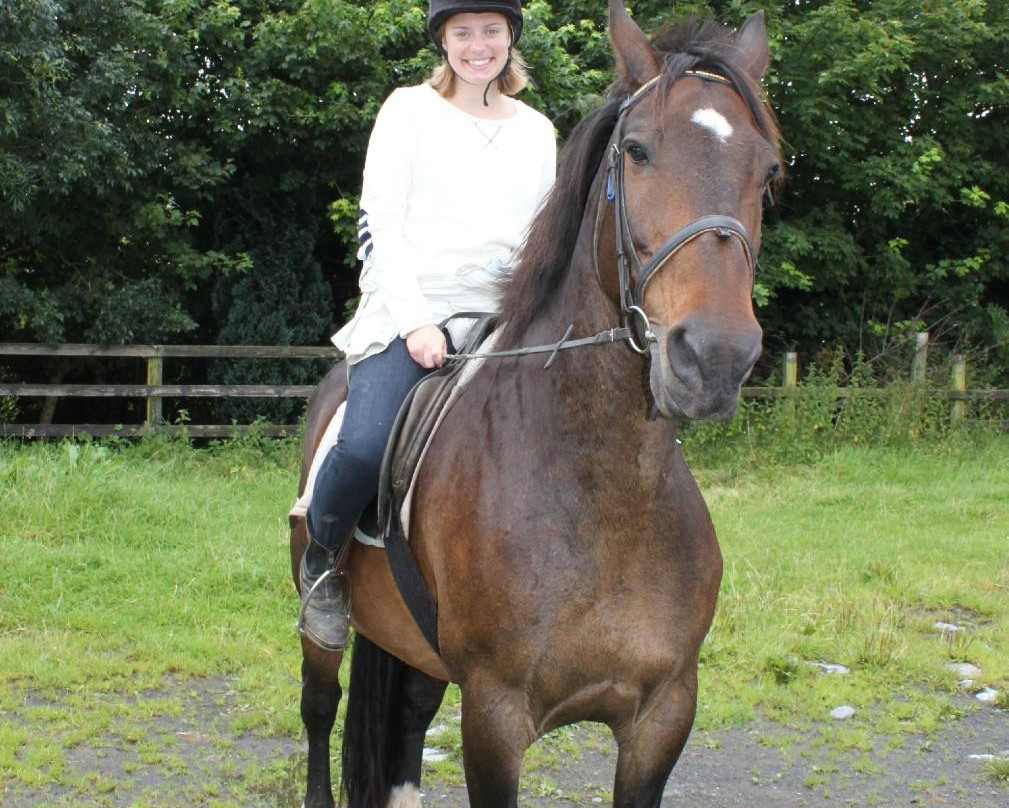 Clare Equestrian Centre景点图片