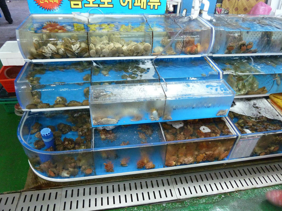 Yeosu Fish Market-丽水市必去景点