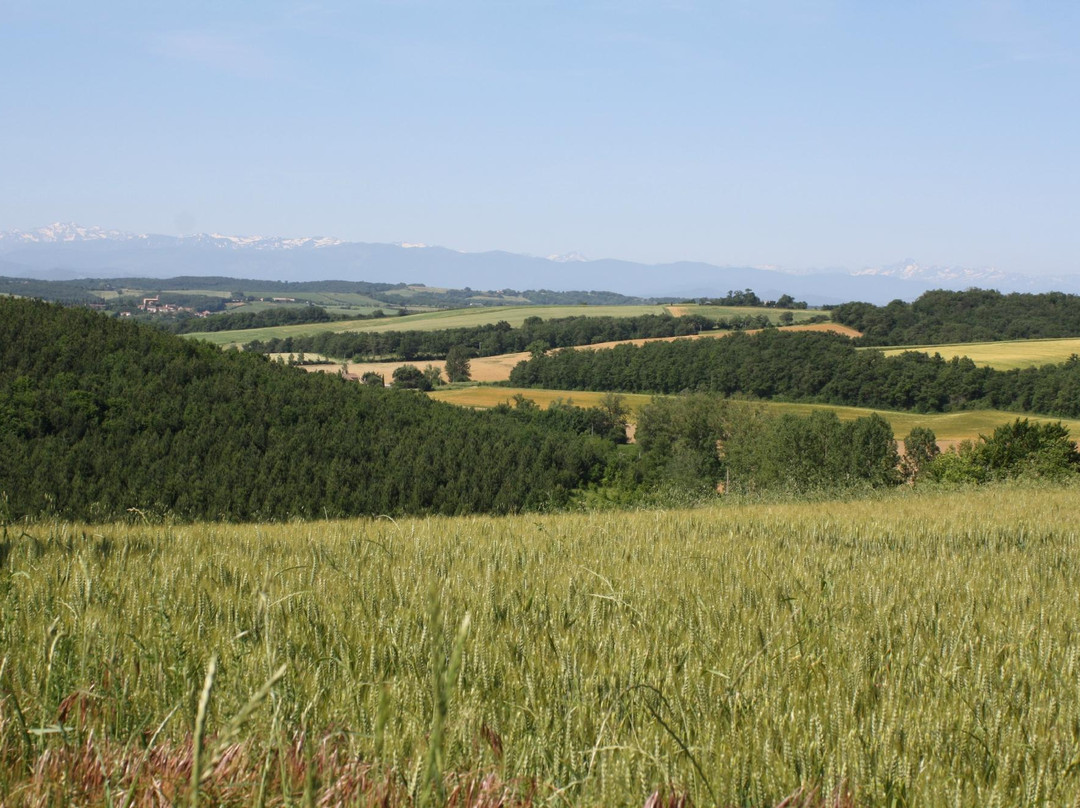 Domaine Jean Coste主图