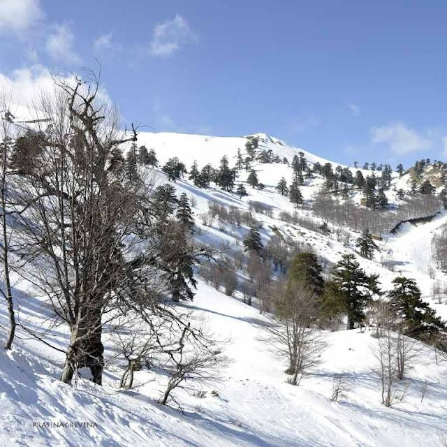 National Snow Center Vasilitsas景点图片