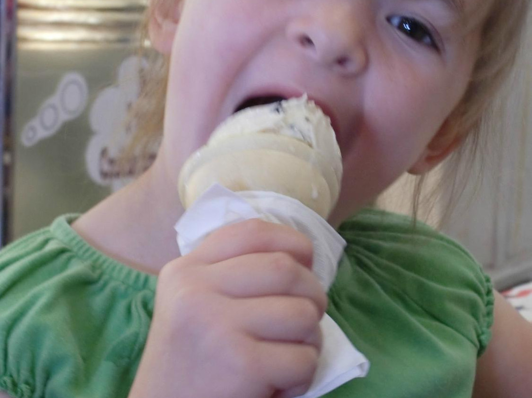 Dairy View-斯特金贝必去景点