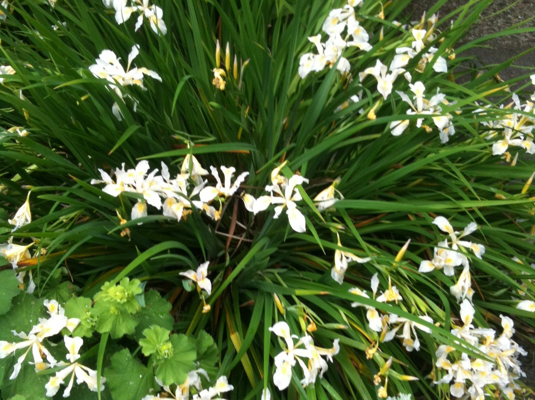 Sturgeon Viewing Pond and Interpretive Center-Cascade Locks必去景点
