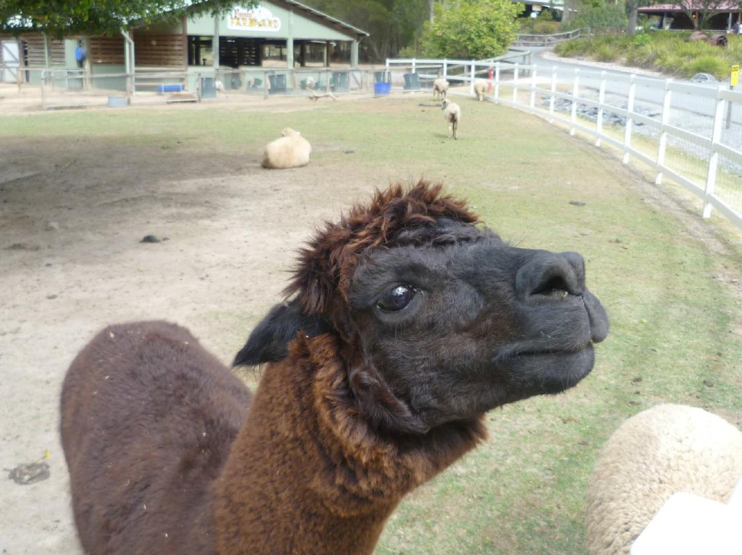 天堂农庄-奥克森福德必去景点