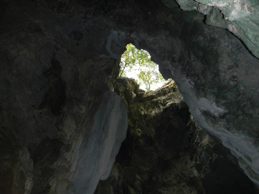 Battambang Bat Caves-马德望必去景点
