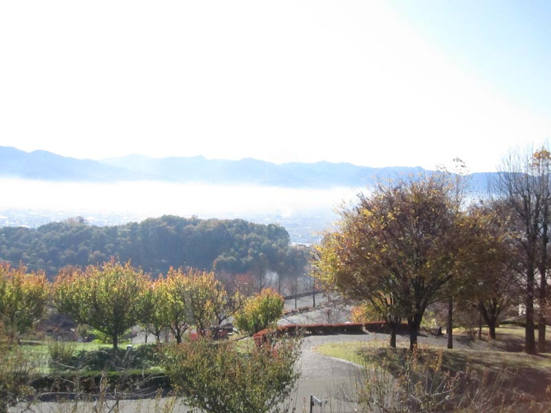 Yamanashi Fuehukigawa Fruit Park景点图片