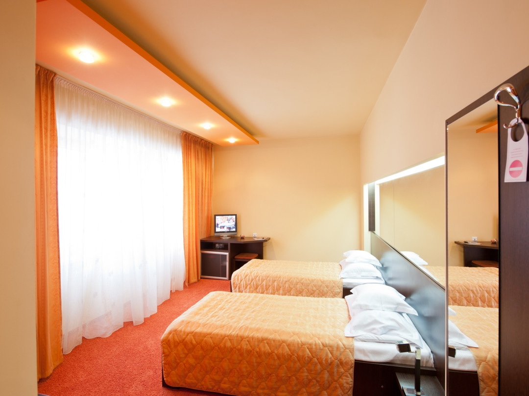 Hotel Bistrita主图