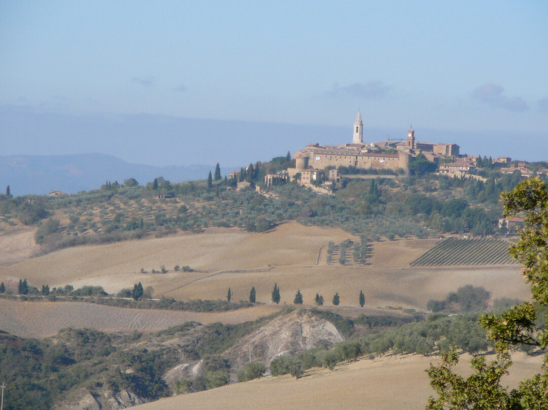 托斯卡纳葡萄酒之旅-锡耶纳必去景点