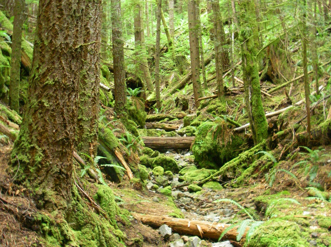 Horne Lake Caves Provincial Park景点图片