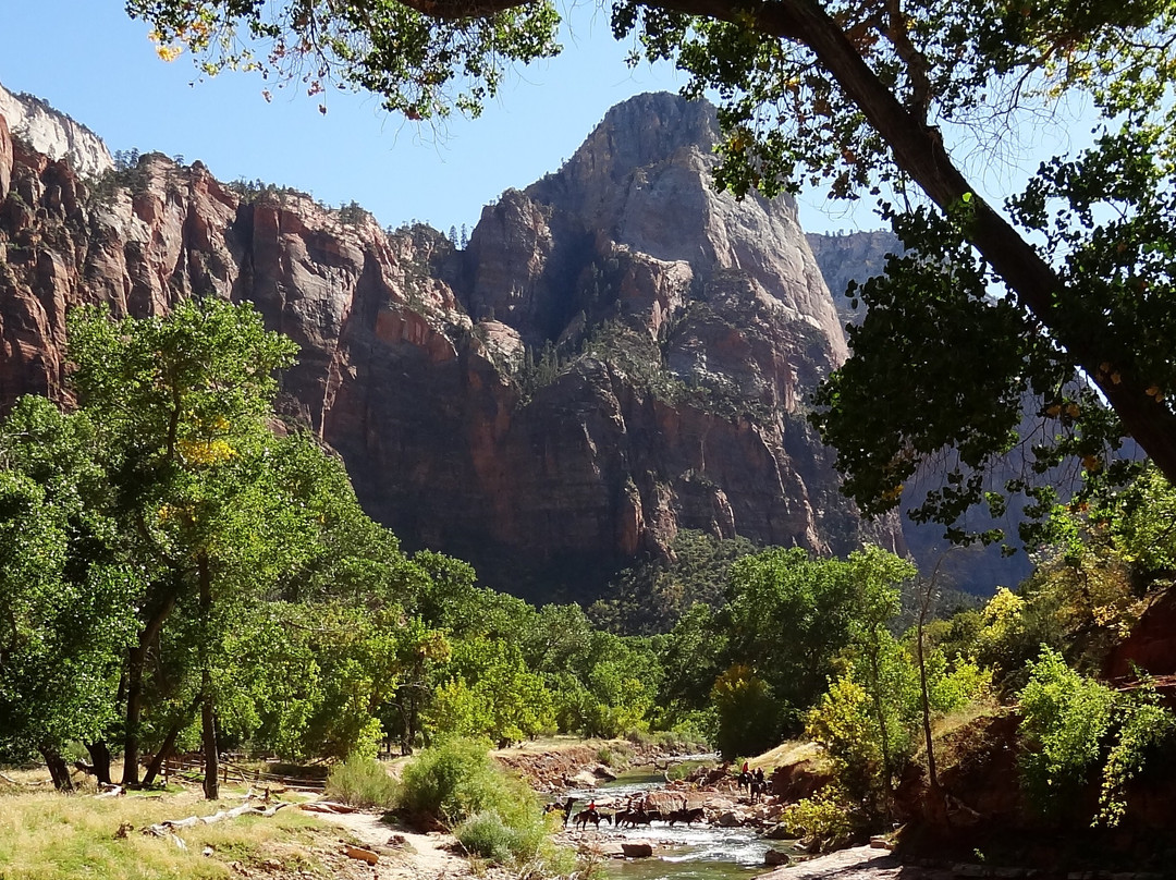 Canyon Trail Rides-特罗皮克必去景点