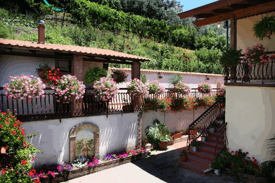 Pensione Gli Ulivi主图