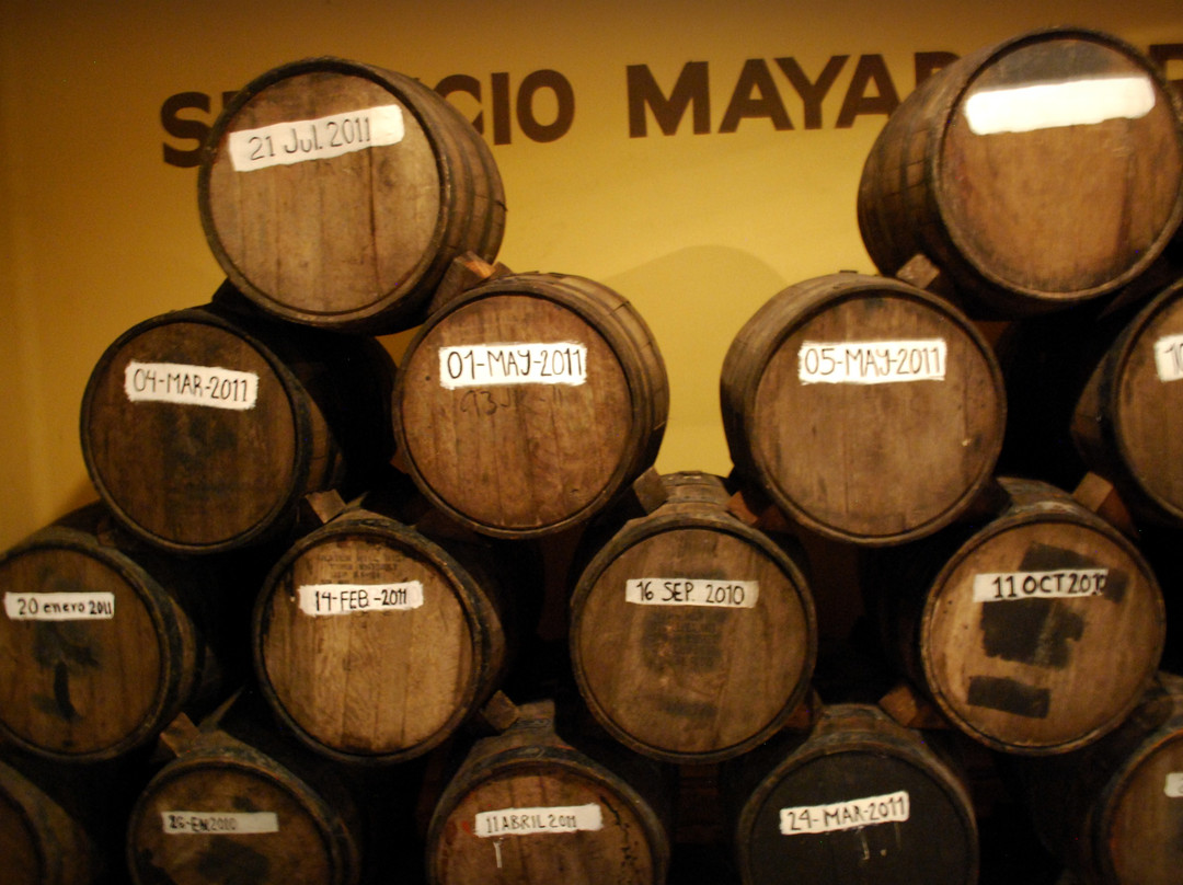 Mayapan Traditional Agave Distillery景点图片