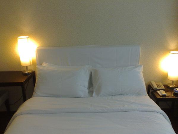 北京神舟商旅酒店芍药居店-客卧