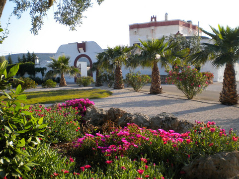 L'Assunta酒店住宿-Masseria Luce B&B - Case Vacanza