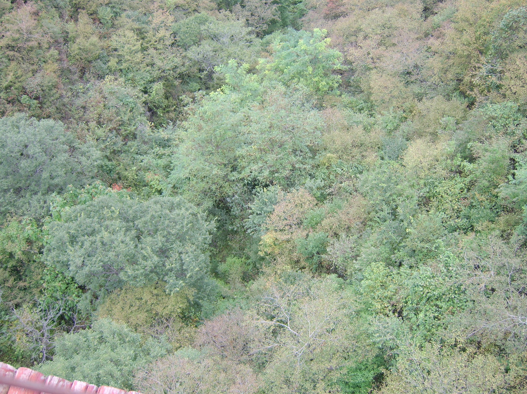 沂源九天洞-沂源县必去景点