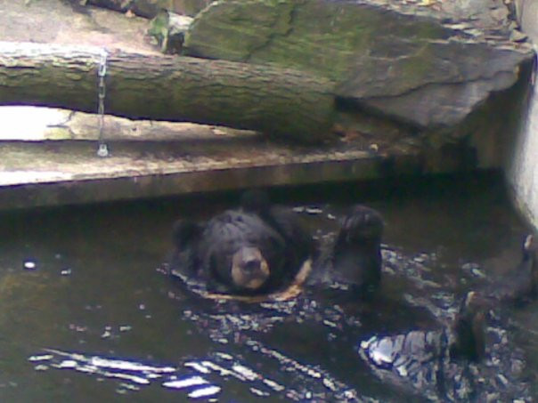 Allwetterzoo Munster景点图片