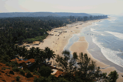Arambol Beach景点图片