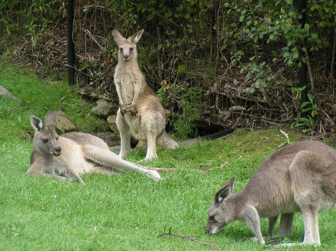 Fort Wayne Zoo-韦恩堡必去景点