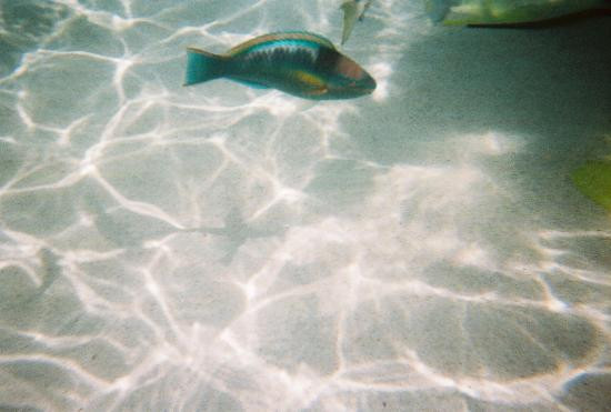 可奇海滩-Smith Bay必去景点