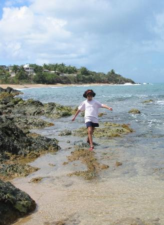 Playa Monte Santo-维切克岛必去景点