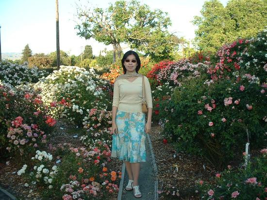 Heritage Rose Garden-圣何塞必去景点