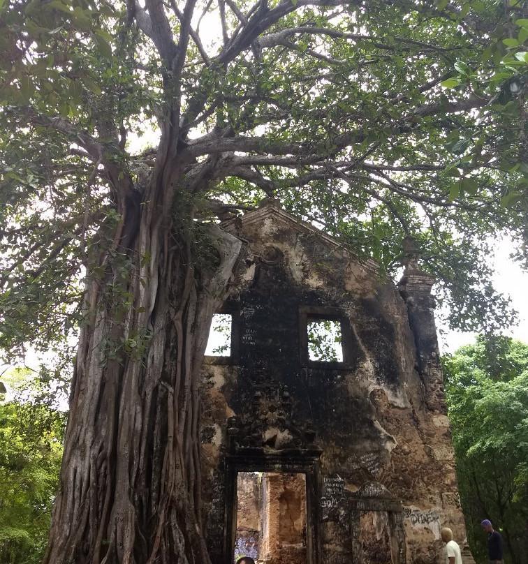 Ruins of the Old Church of Bomsucesso景点图片