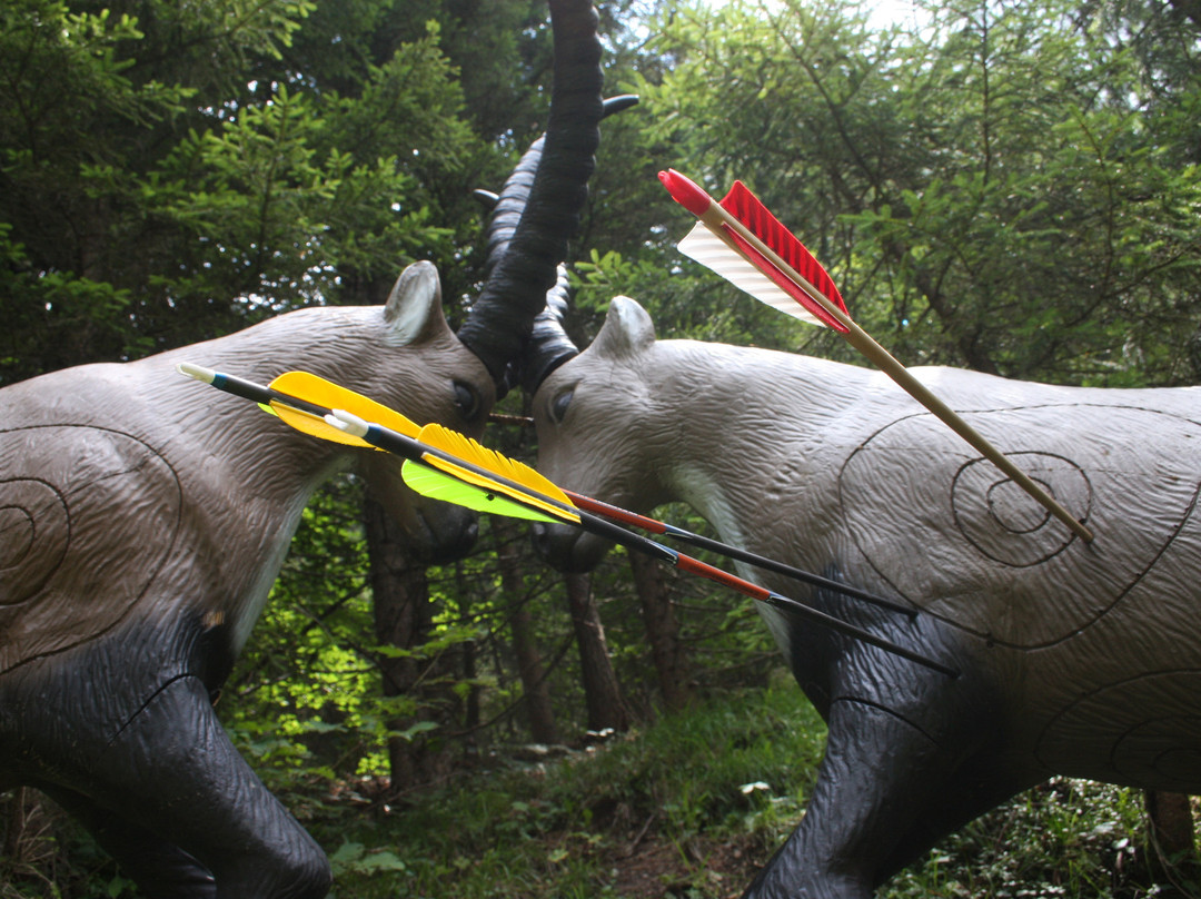 Bogenschiessen Oberweissbach-瓦埃德令必去景点