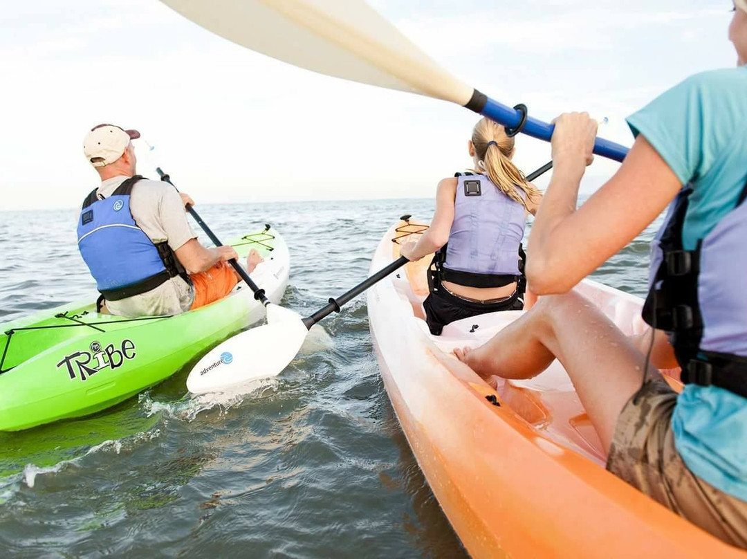 Third Coast Paddling - Galien River景点图片
