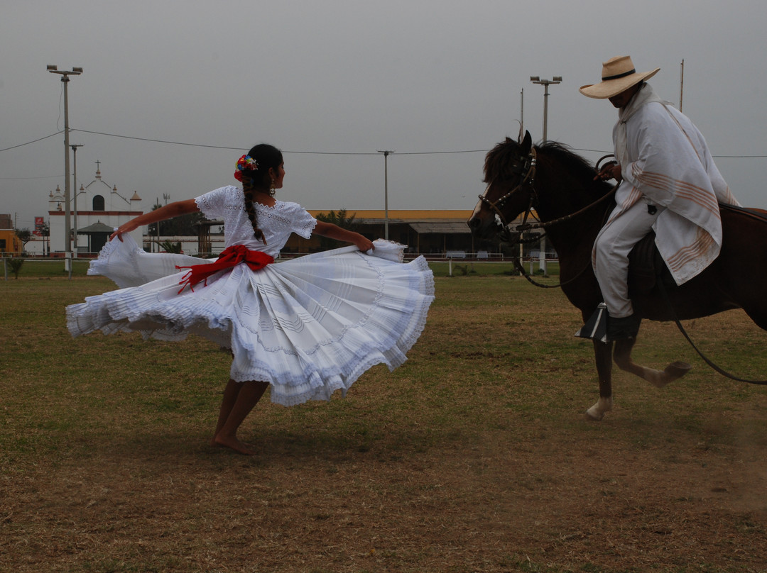 Caballos Peruanos De Paso-特鲁希略必去景点