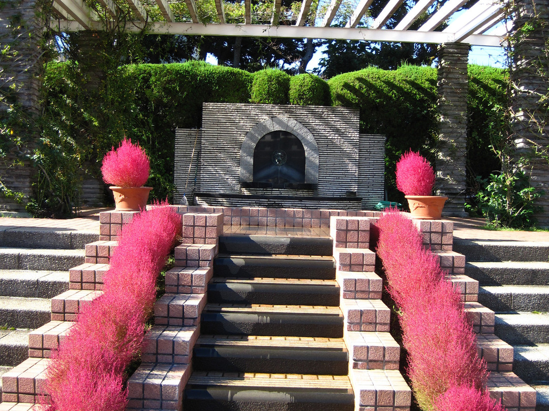 Yatsu Rose Garden-习志野市必去景点