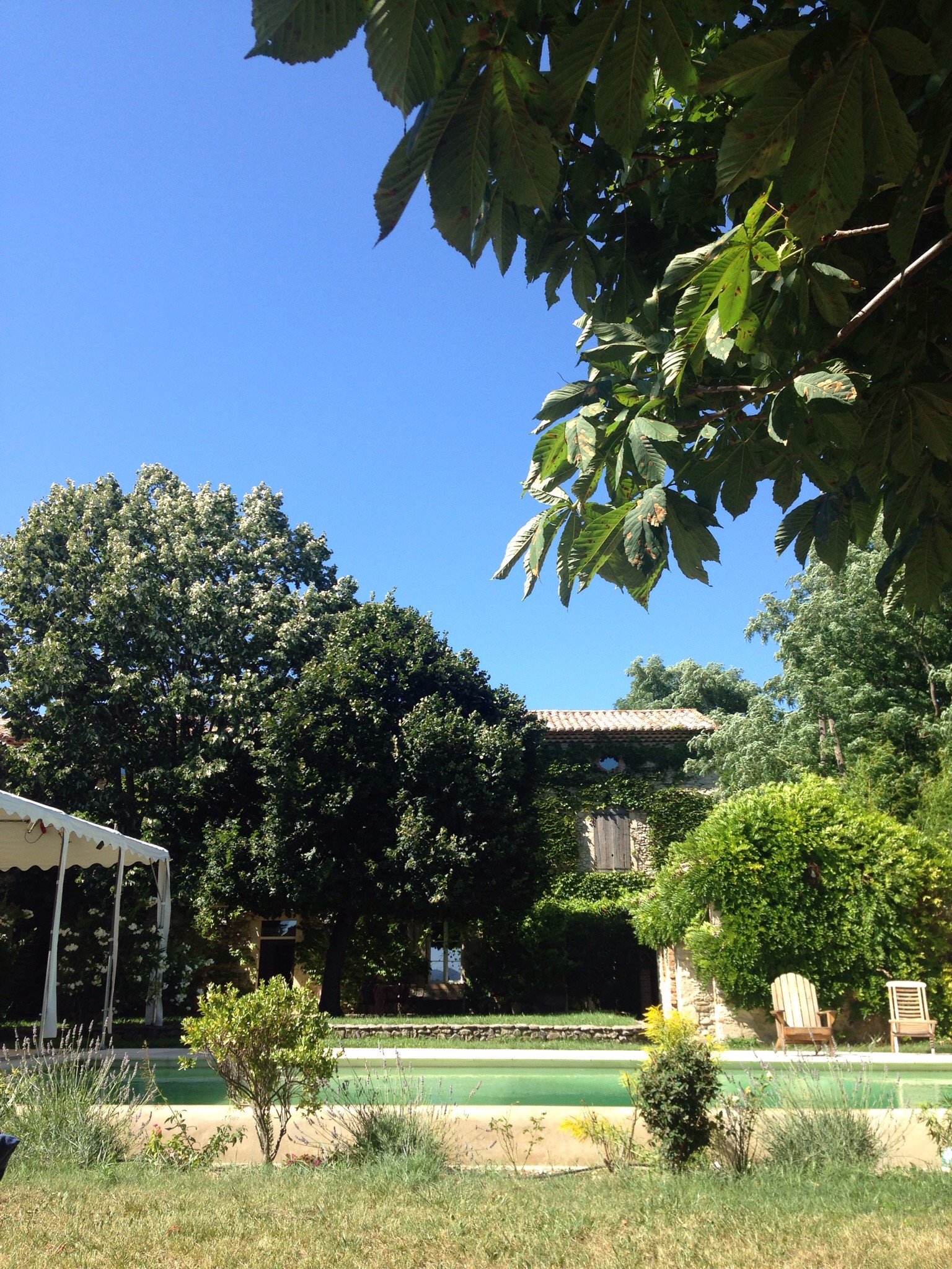 Domaine du Vivier-官方
