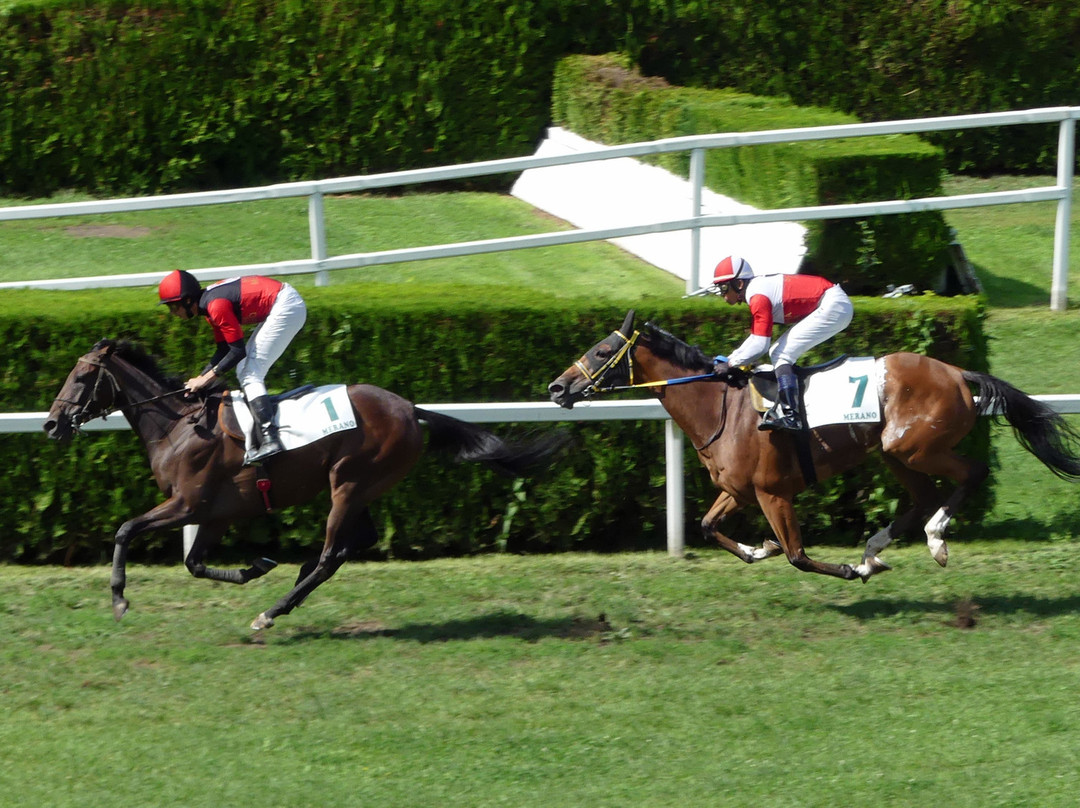 Merano Racecourse景点图片